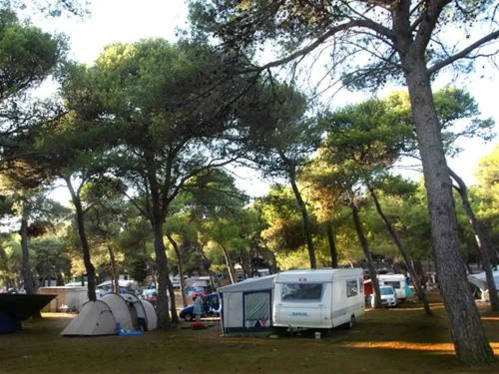 Camping Indije