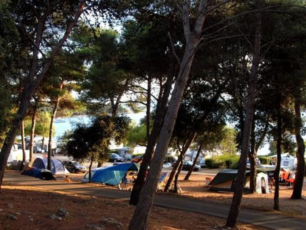 Camping Indije