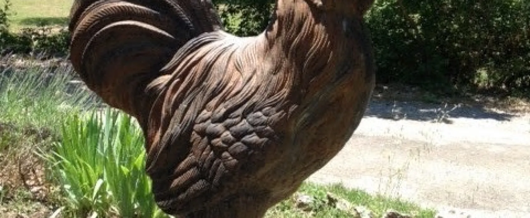 Camping Le Pic Saint Loup  