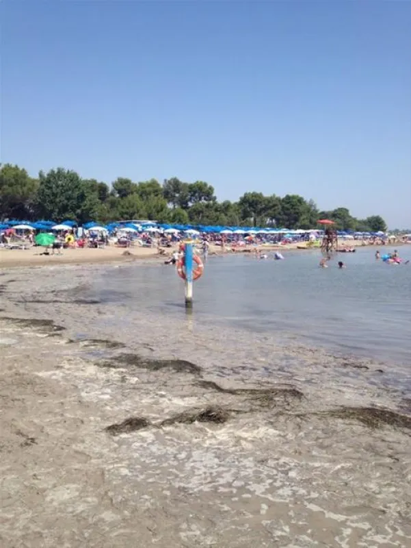 Camping Villaggio Turistico Europa