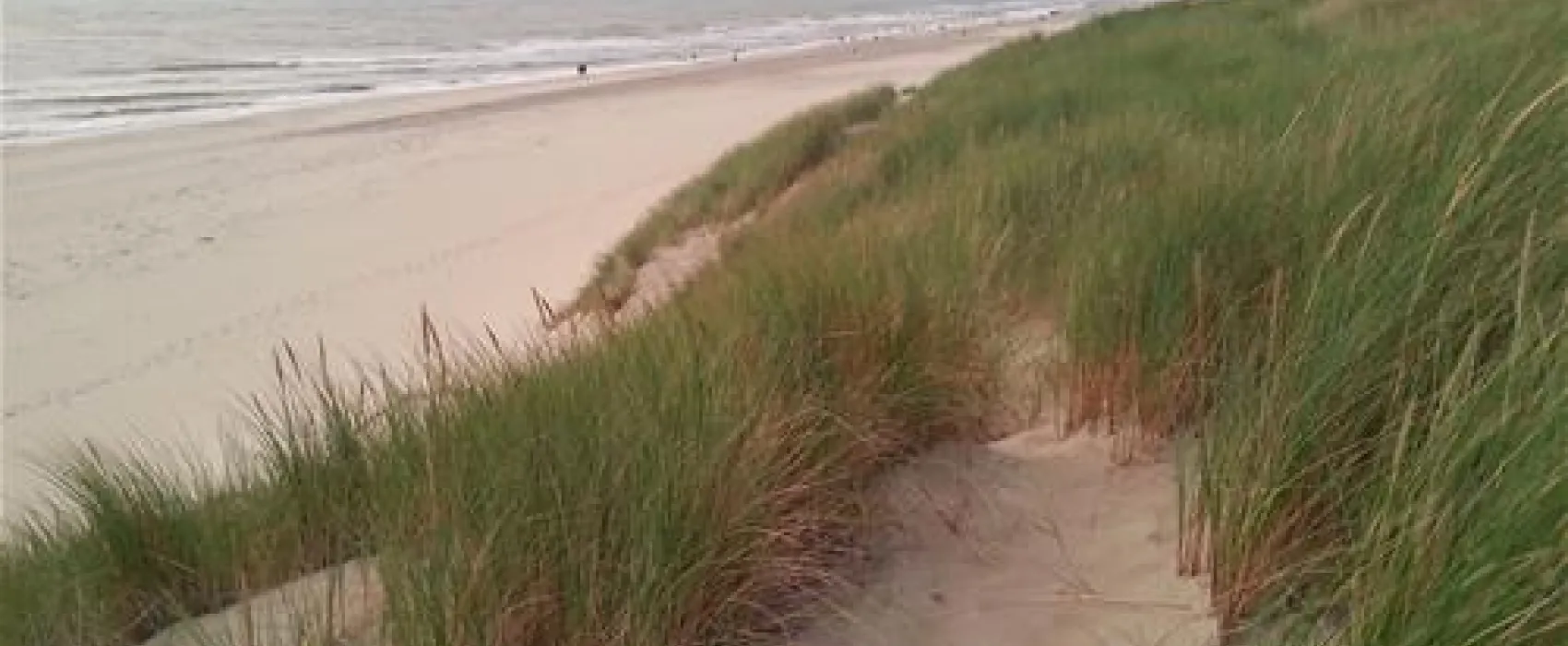 Texelcamping Kogerstrand