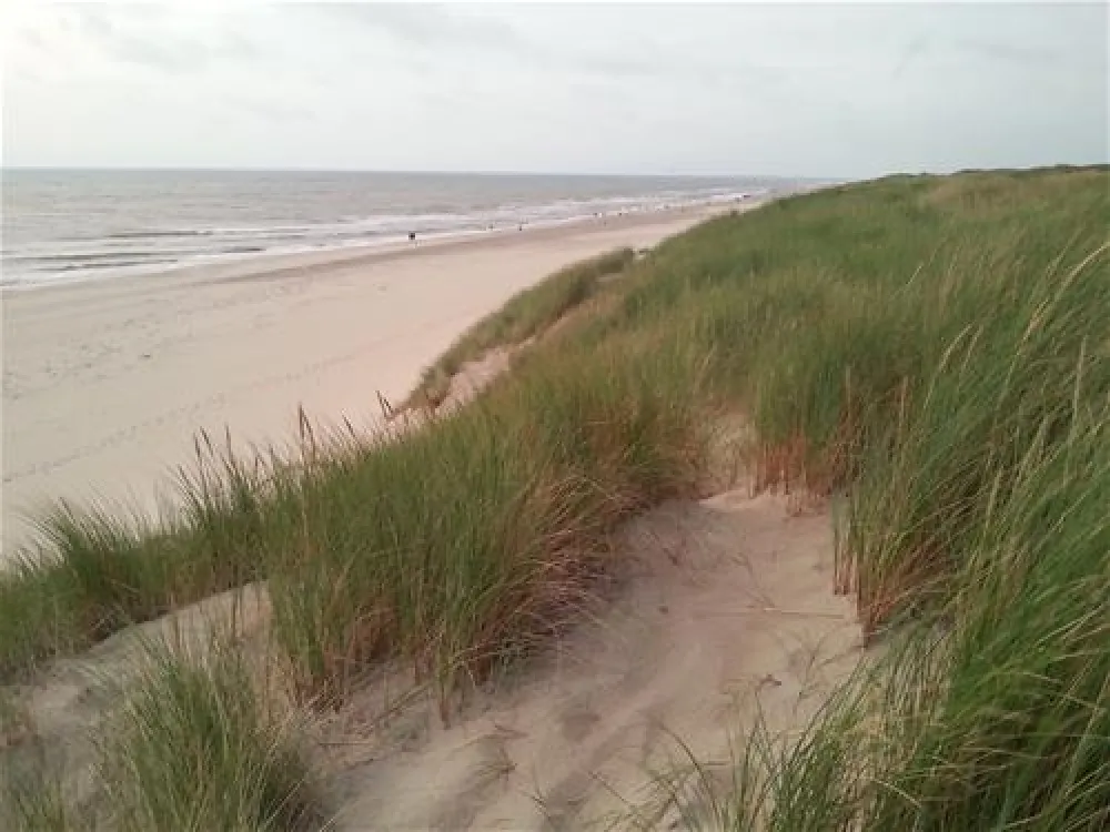 Texelcamping Kogerstrand