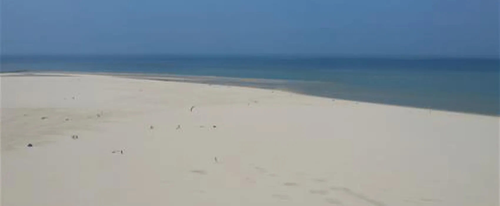 Texelcamping Kogerstrand