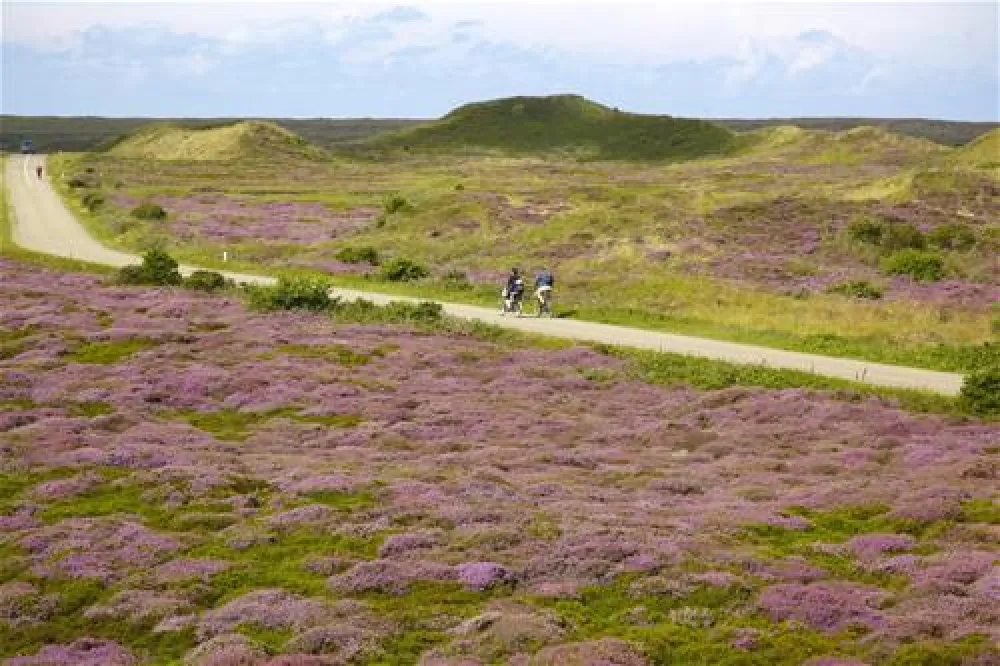 Texelcamping Kogerstrand