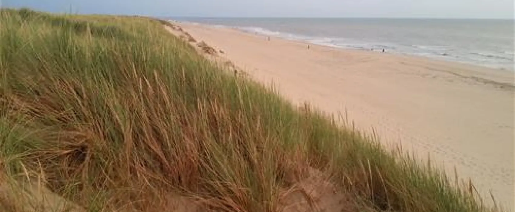 Texelcamping Kogerstrand
