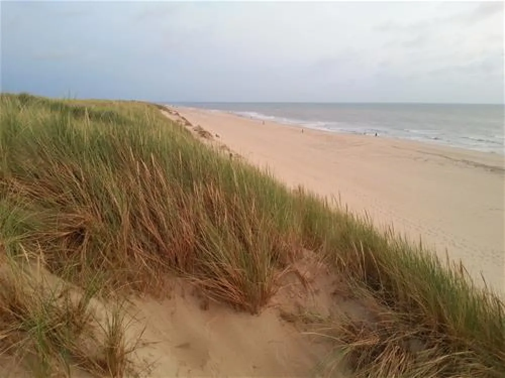 Texelcamping Kogerstrand