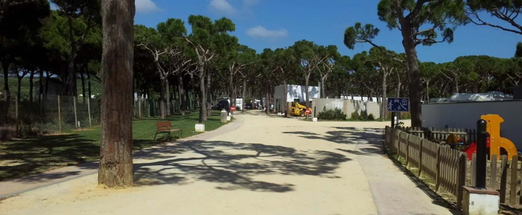 Camping Pinar San José