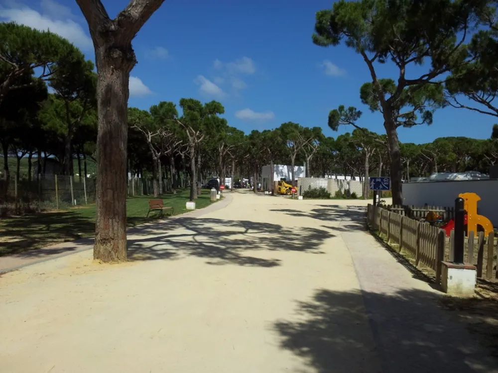 Camping Pinar San José