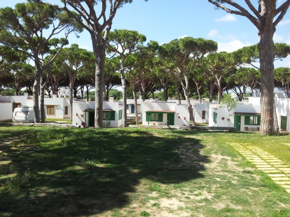 Camping Pinar San José