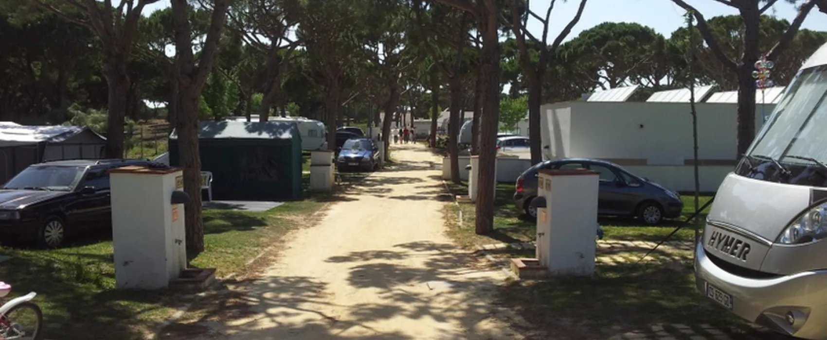 Camping Pinar San José