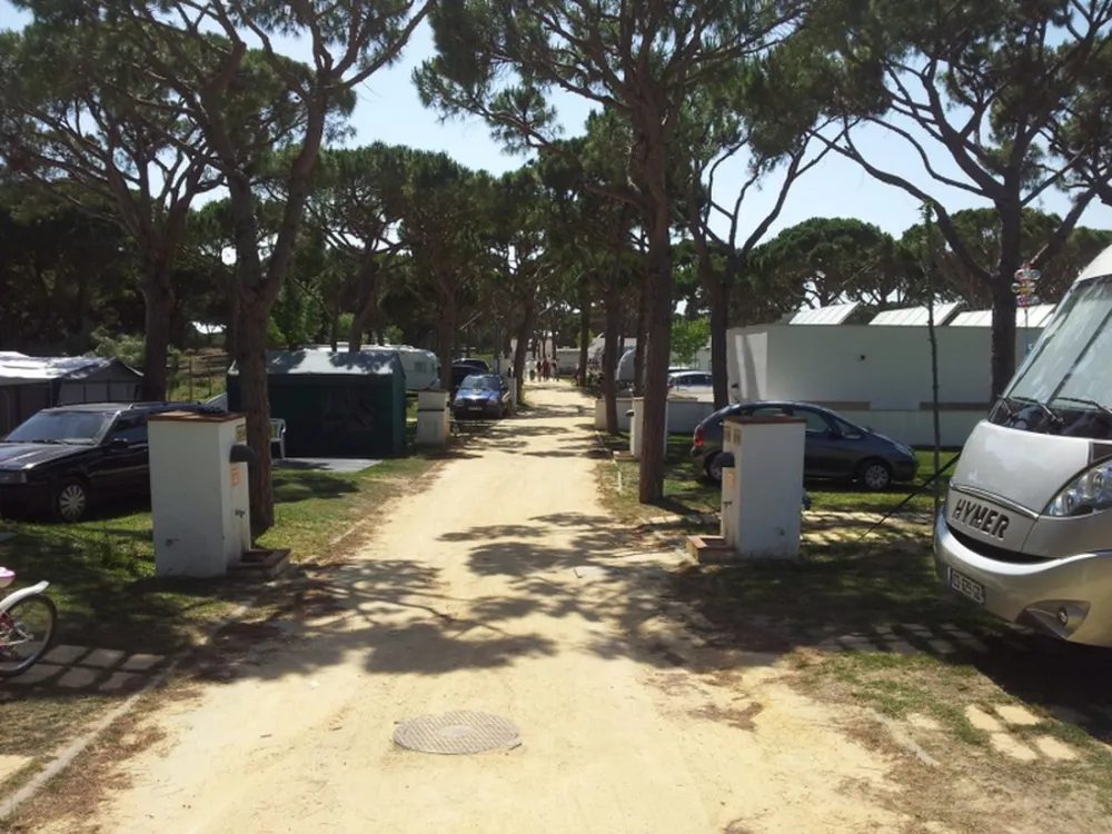Camping Pinar San José