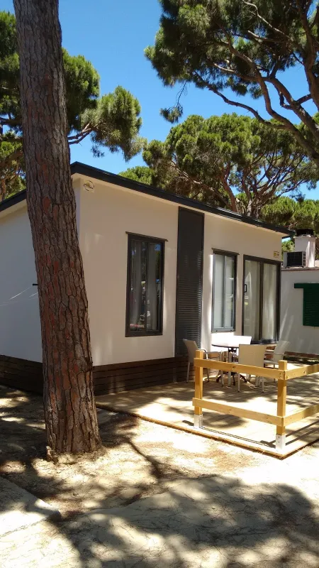 Camping Pinar San José