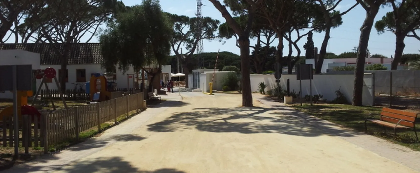 Camping Pinar San José