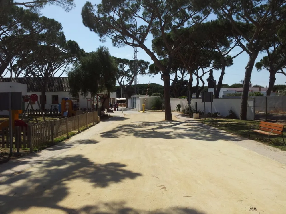 Camping Pinar San José