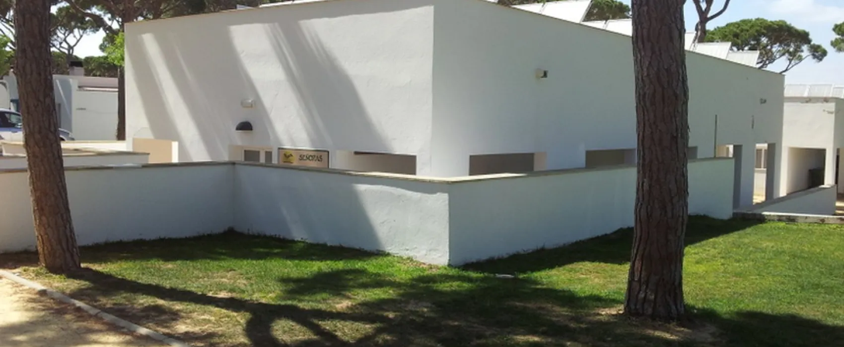 Camping Pinar San José