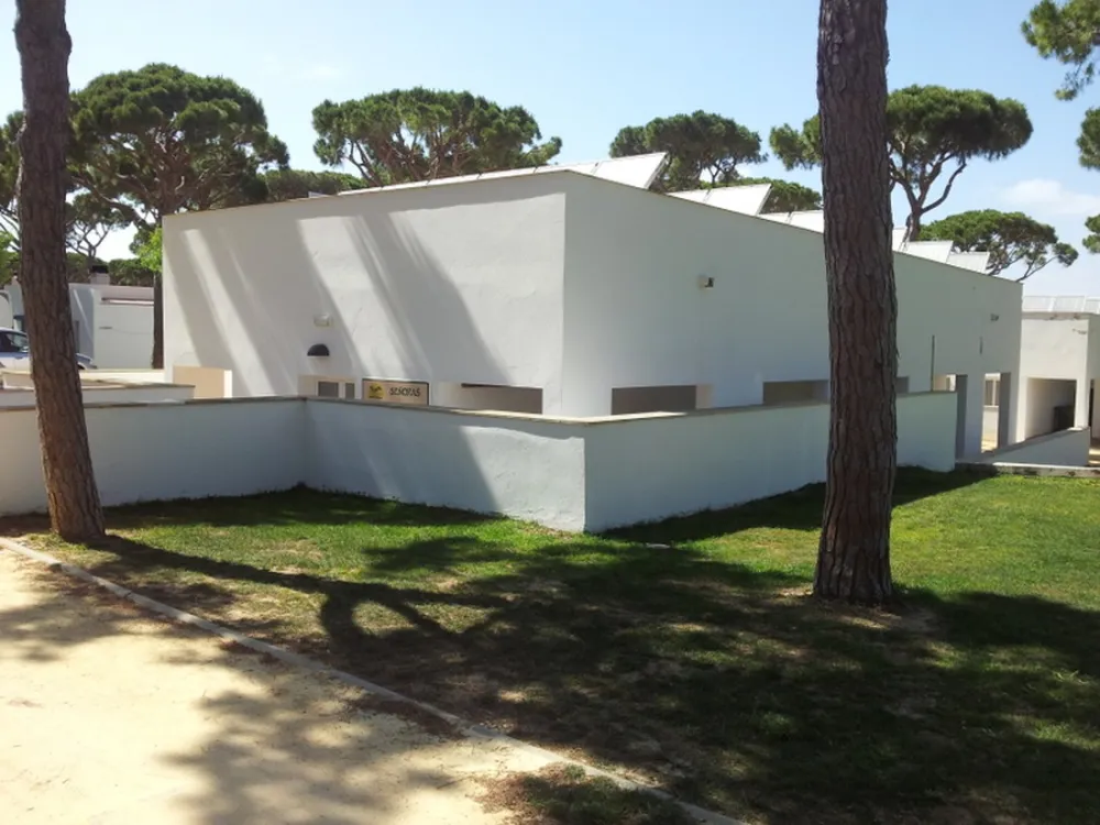 Camping Pinar San José