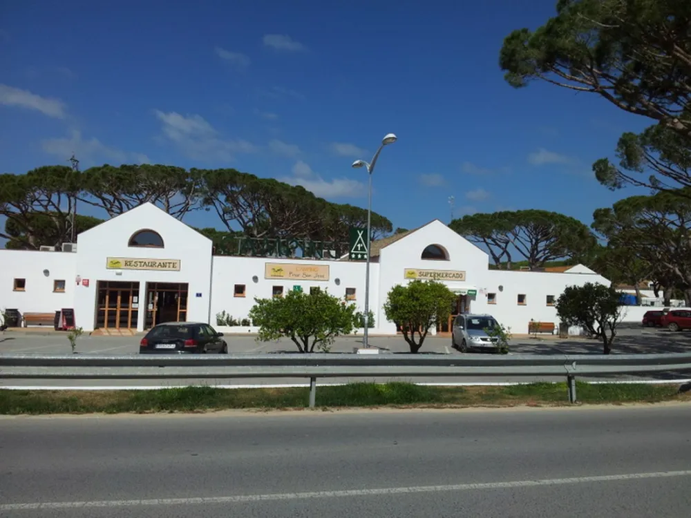 Camping Pinar San José