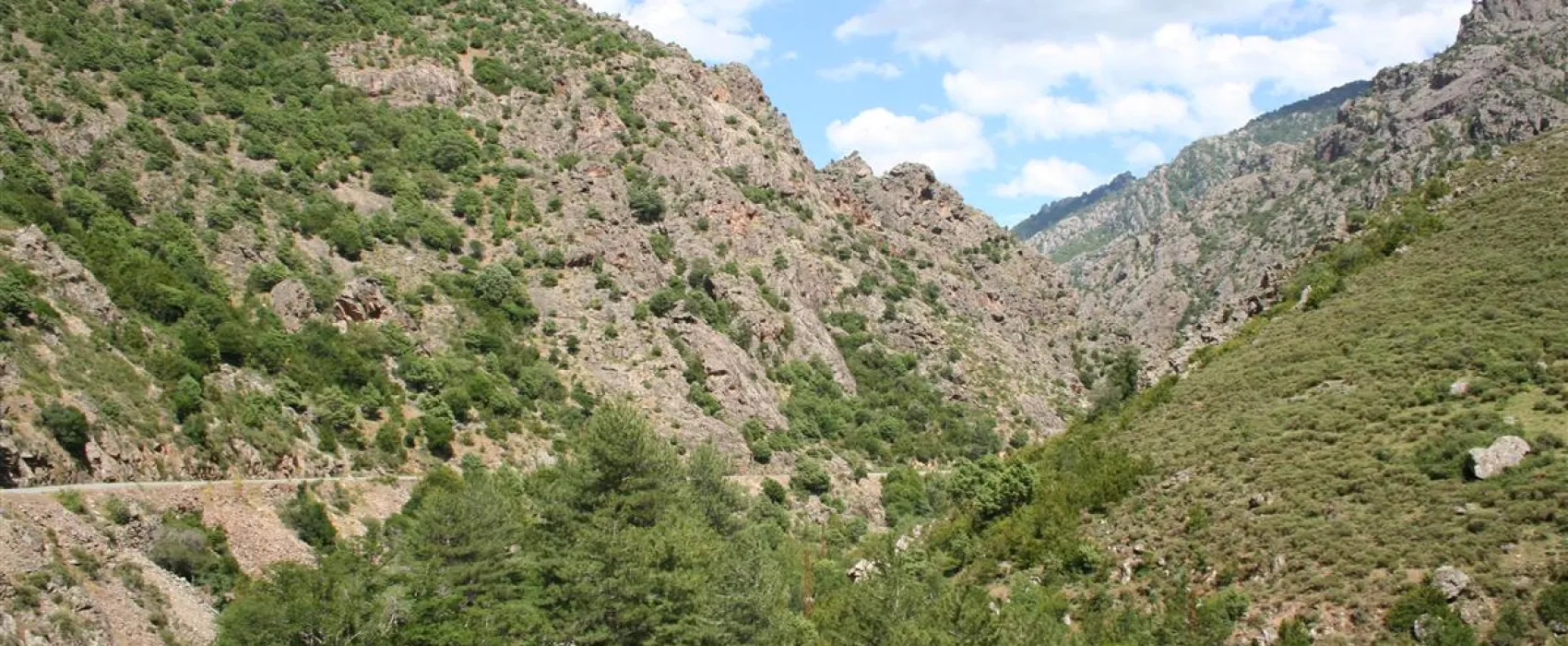 Camping Le Restonica  