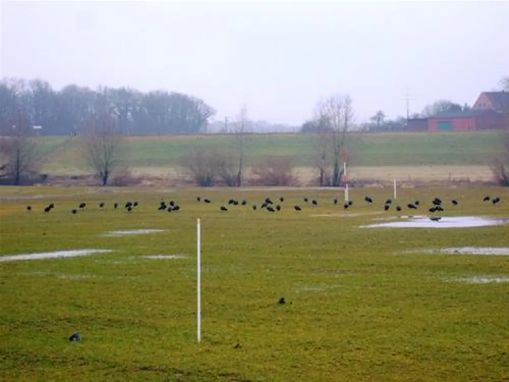 Erholungszentrum Grav-Insel