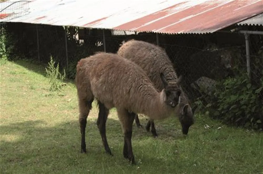 Erholungszentrum Grav-Insel