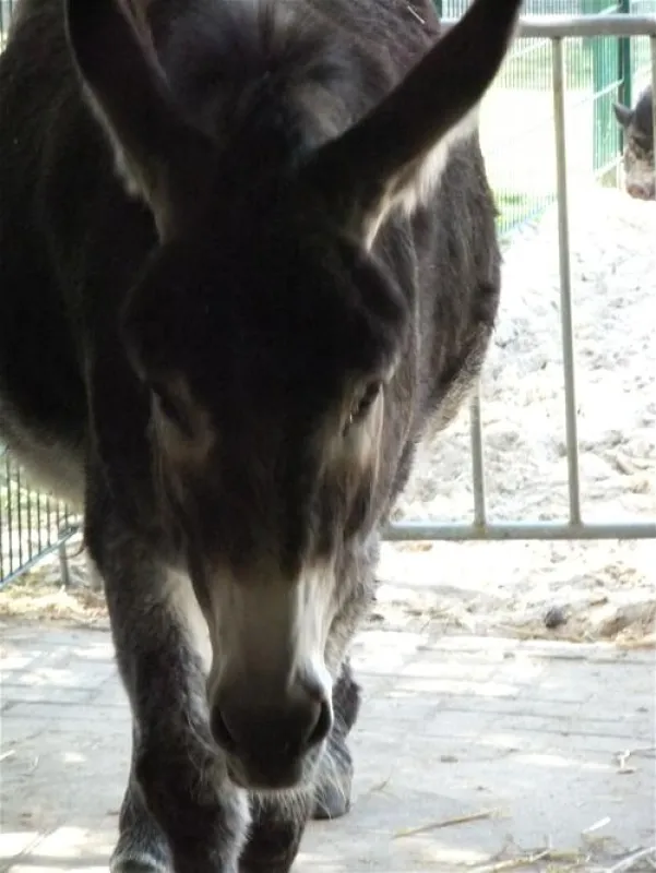 Erholungszentrum Grav-Insel