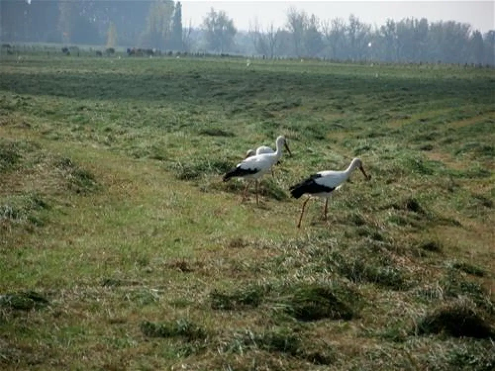 Erholungszentrum Grav-Insel