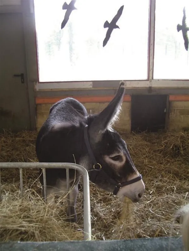 Erholungszentrum Grav-Insel