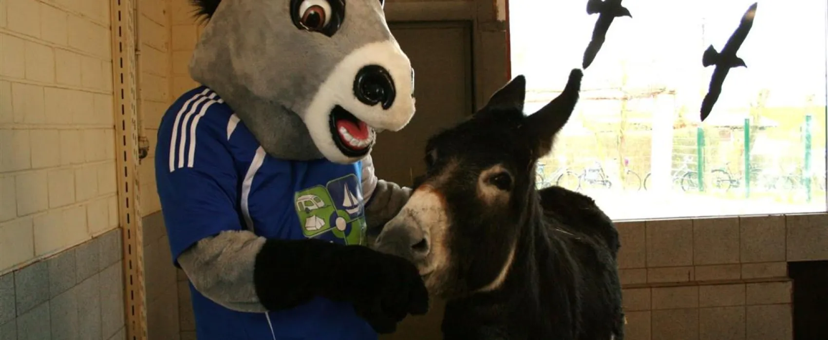 Erholungszentrum Grav-Insel