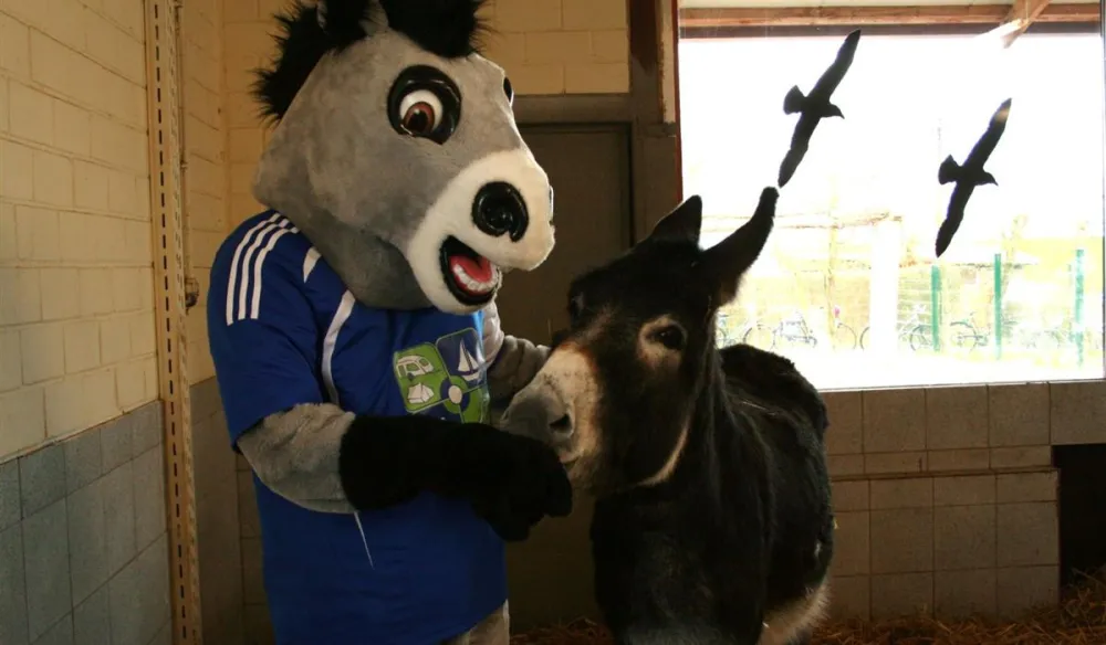 Erholungszentrum Grav-Insel