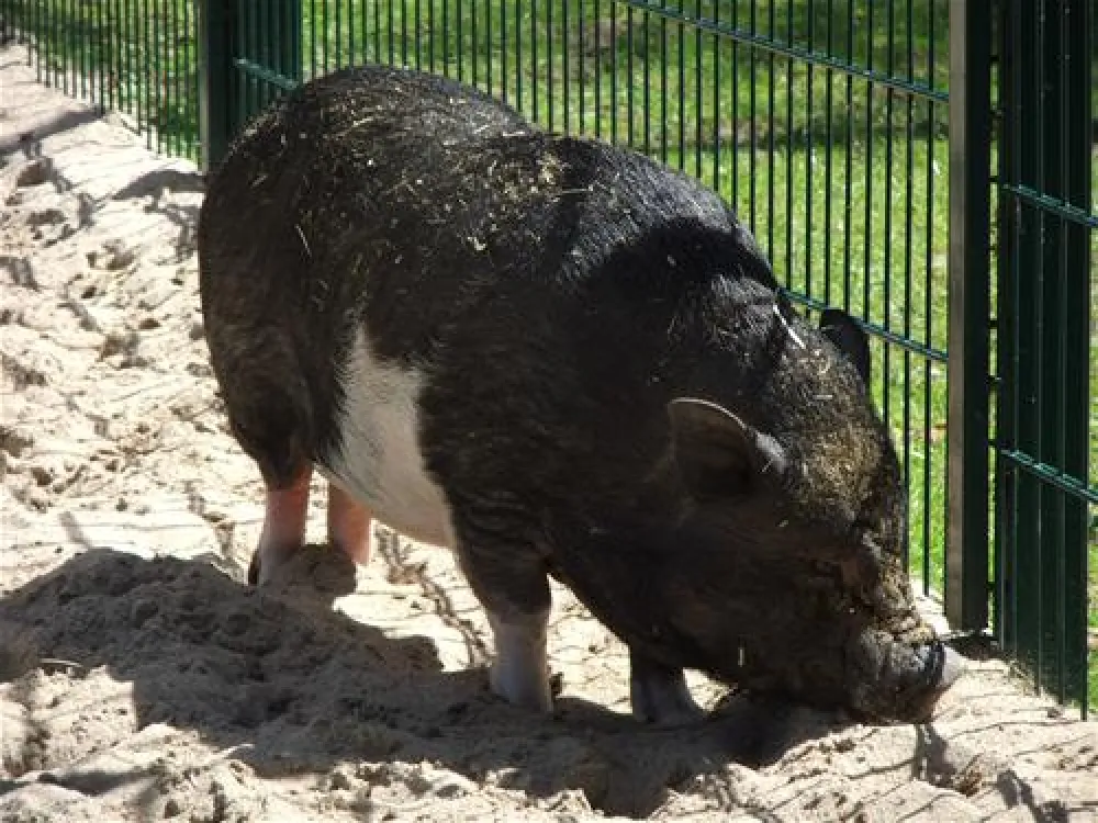 Erholungszentrum Grav-Insel