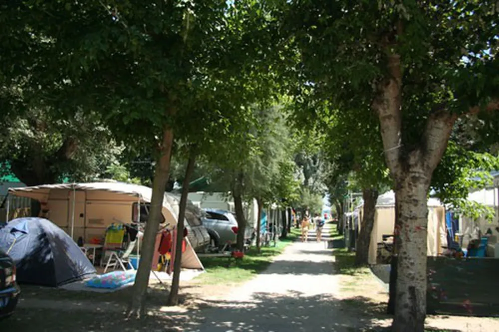 STORK CAMPING VILLAGE