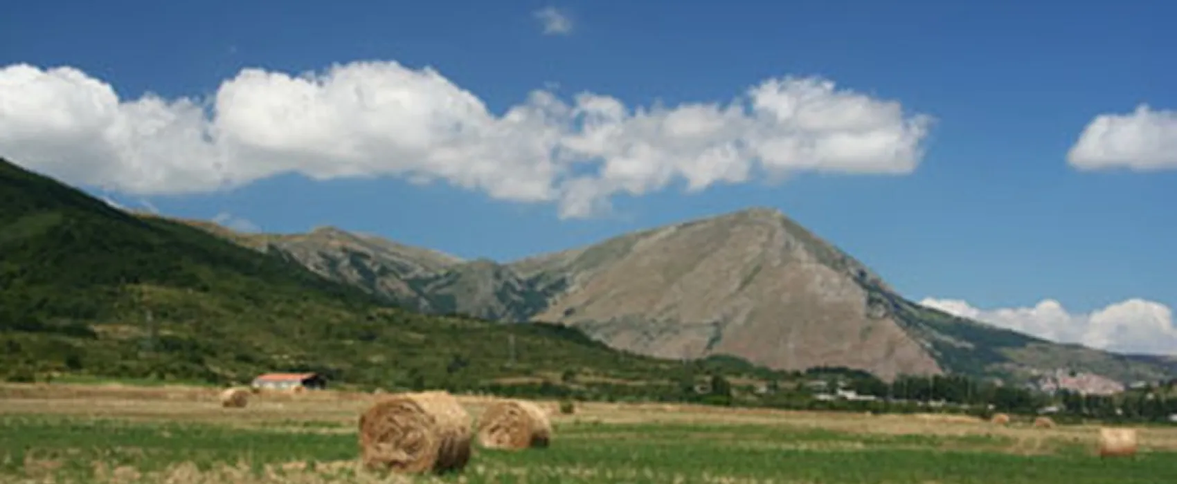 STORK CAMPING VILLAGE