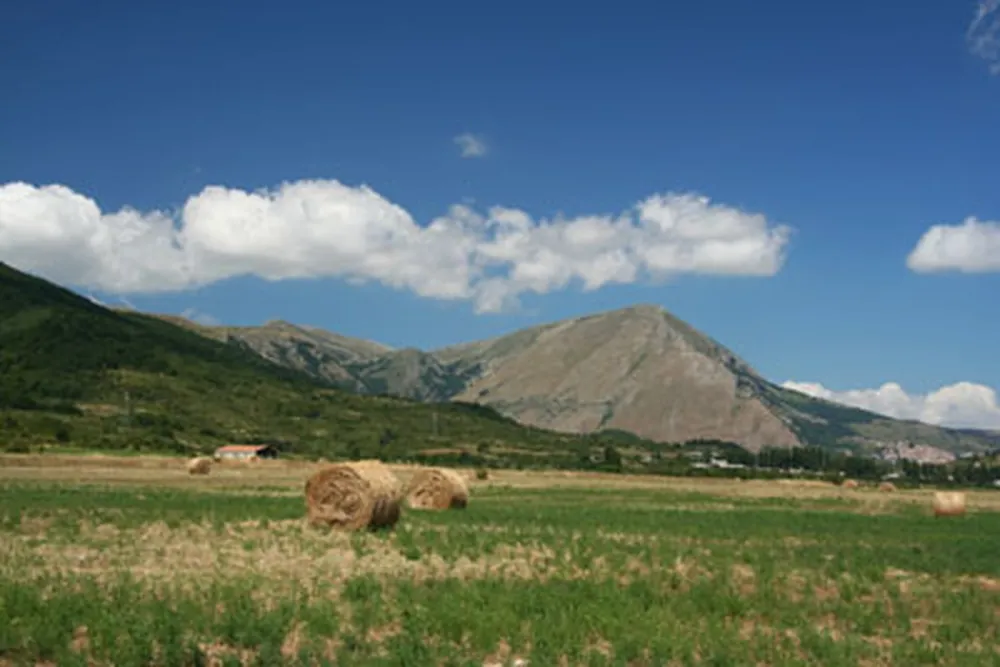 STORK CAMPING VILLAGE