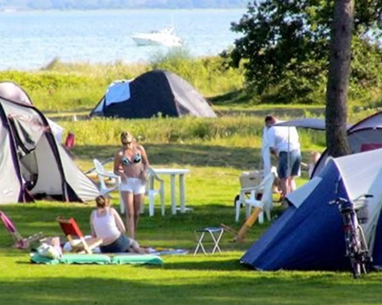 Feddet Camping in Denmark - Spottocamp - Spottocamp