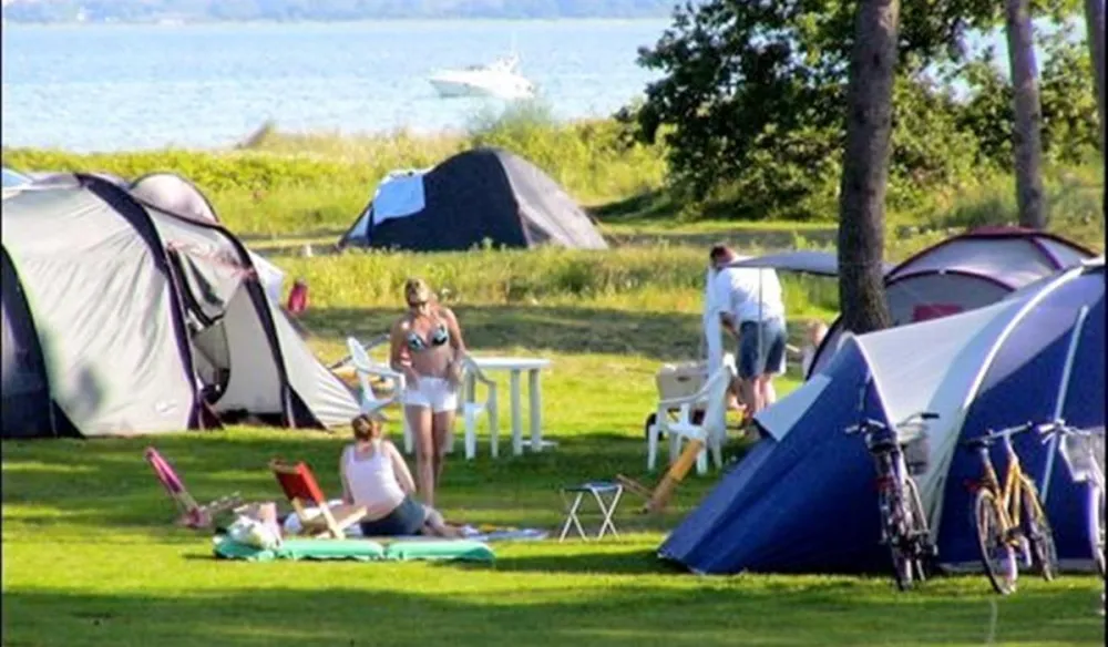 Feddet Camping
