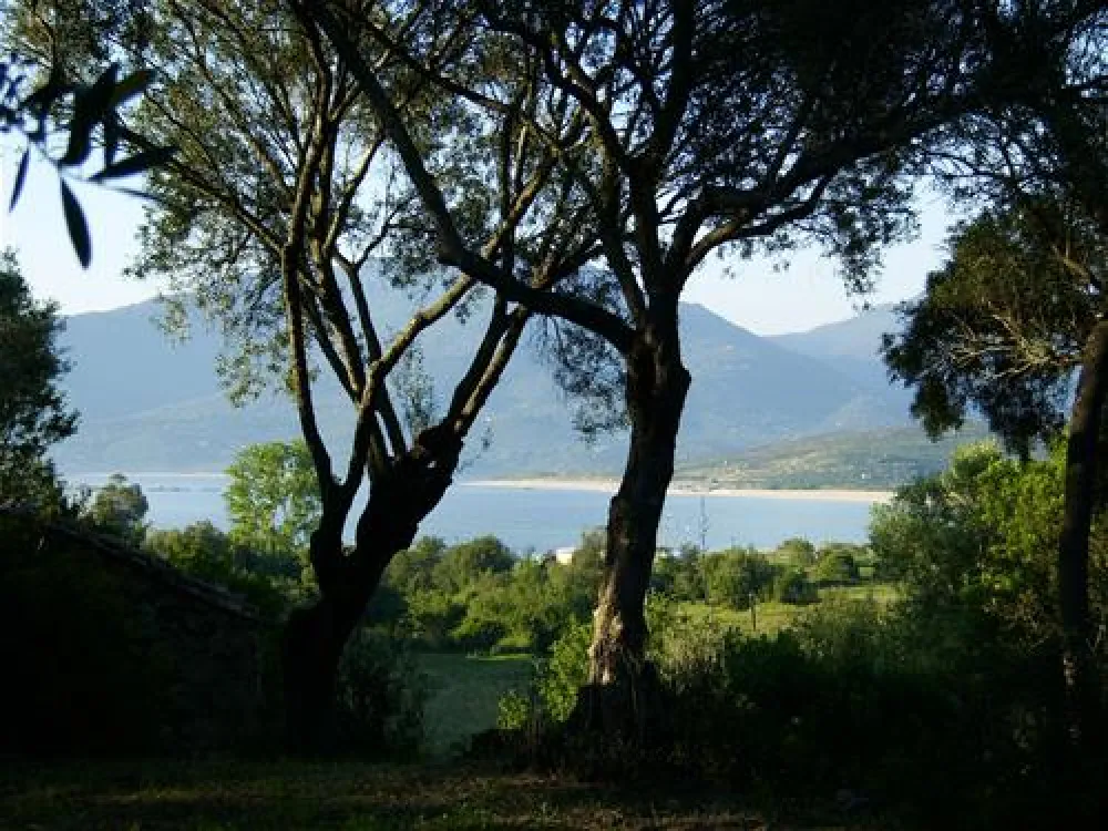 Camping Lecci e Murta  