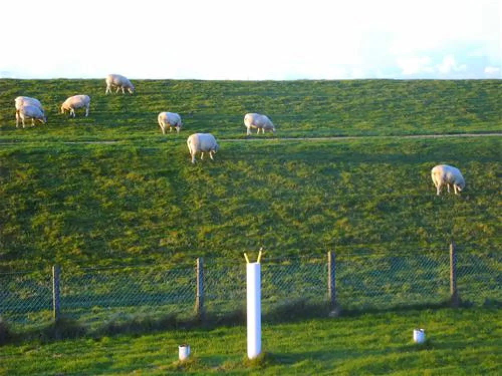 Camping Zeestrand Eems-dollard