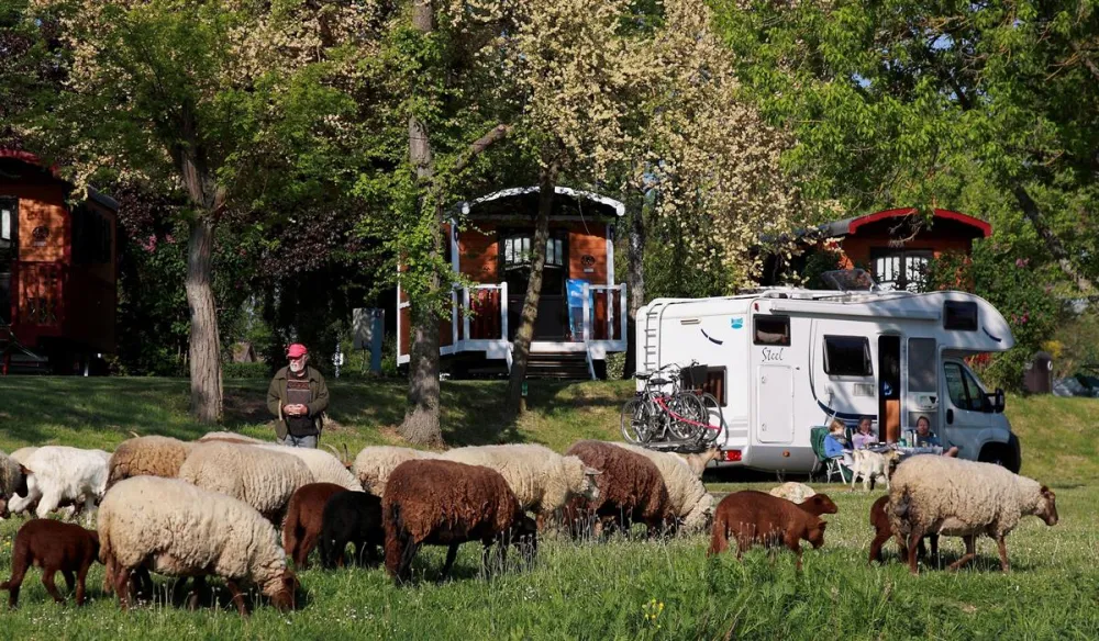 Camping Touristique de Gien