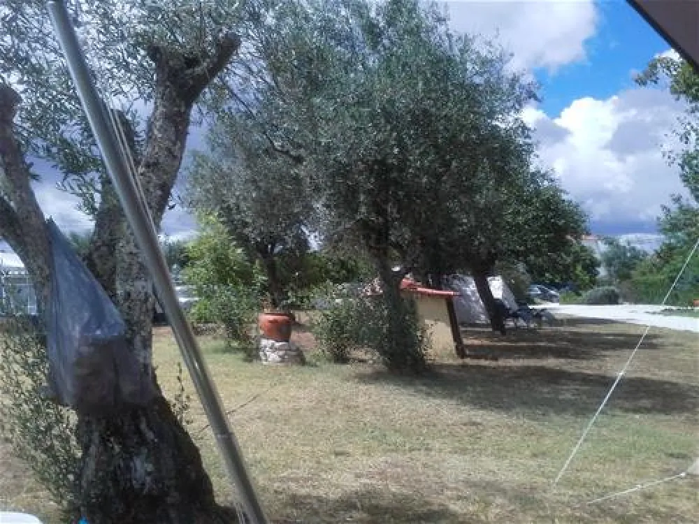 Parque de Campismo Quinta da Cerejeira