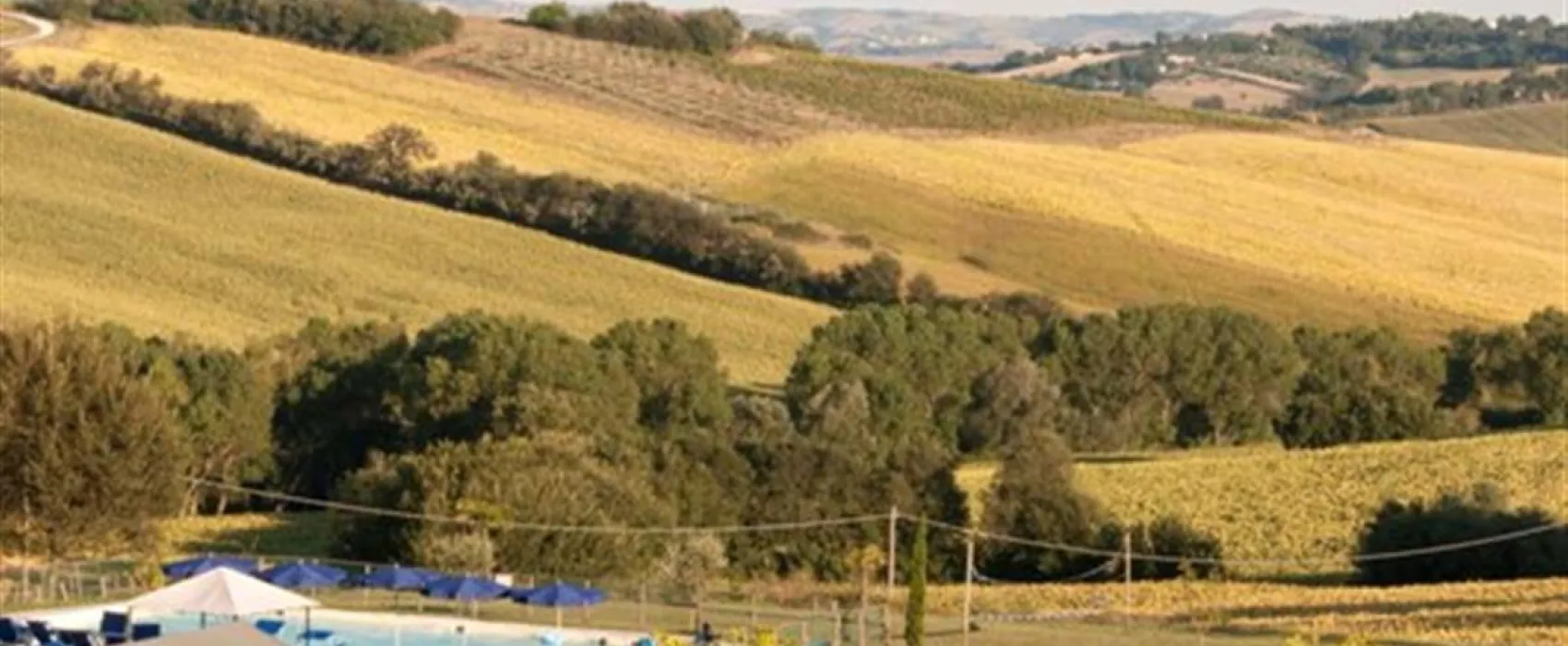 Camping Tenuta Tredici Ulivi