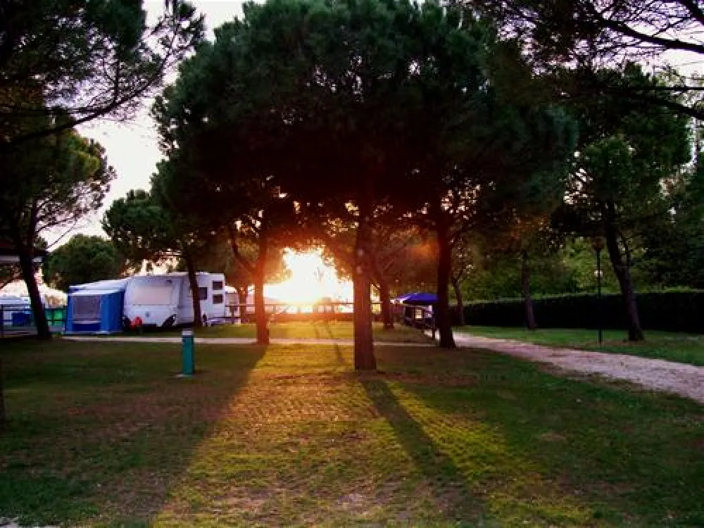 Camping Le Palme