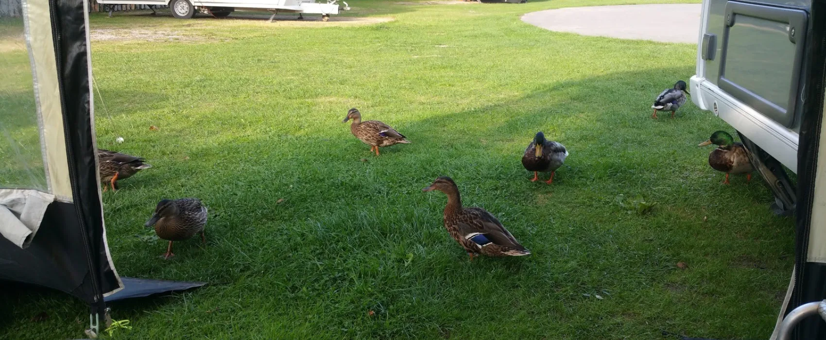 Mill Farm Caravan and Camping Park