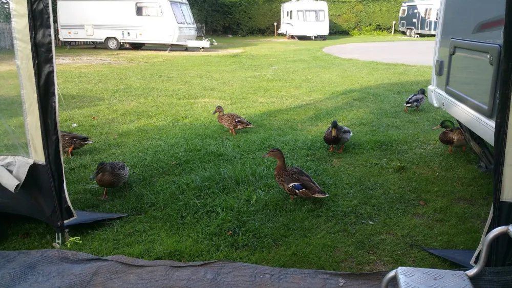 Mill Farm Caravan and Camping Park