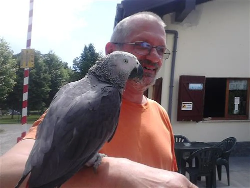 Campeggio Valchiusella