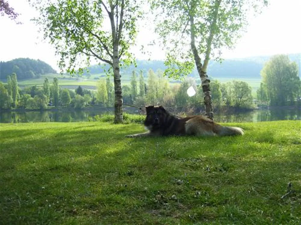 Camping- und Ferienpark Teichmann