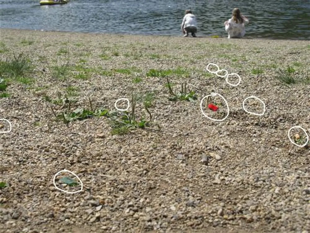 Camping- und Ferienpark Teichmann