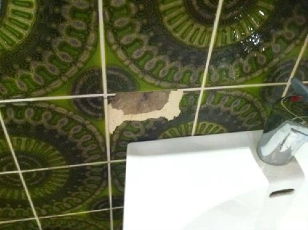 Camping- und Ferienpark Teichmann