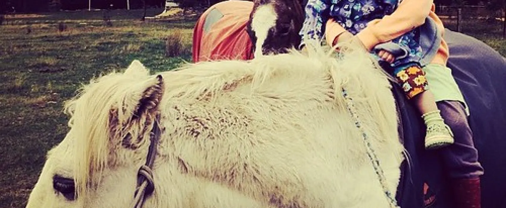 Smythesdale Gardens Reserve Campground