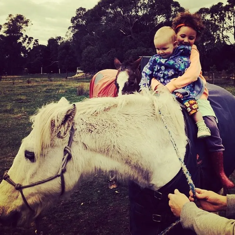 Smythesdale Gardens Reserve Campground