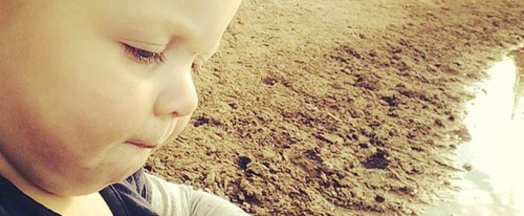 Smythesdale Gardens Reserve Campground